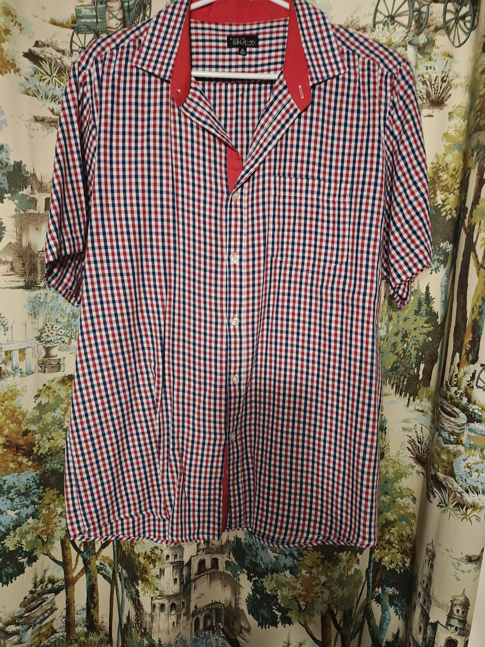 Galaxy By Harvic Red & Blue Check Short-Sleeve Button-Down Shirt